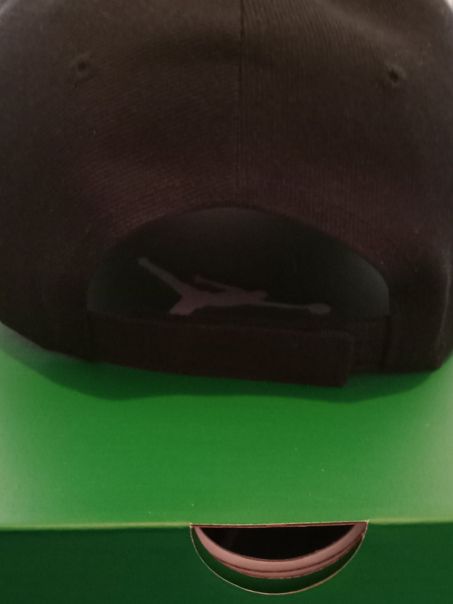 Endless Snow Inc. LLC logo hats